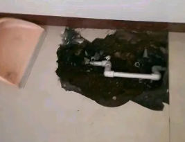 信阳卫生间测漏水多少钱 信阳卫生间测漏水多少钱